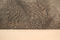 "To the One I Like Much too Much"- signed, 1981, Arist Proof