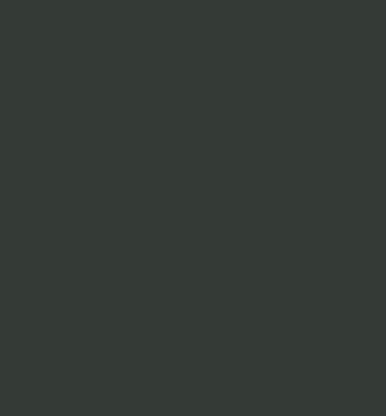 Dark grey color swatch
