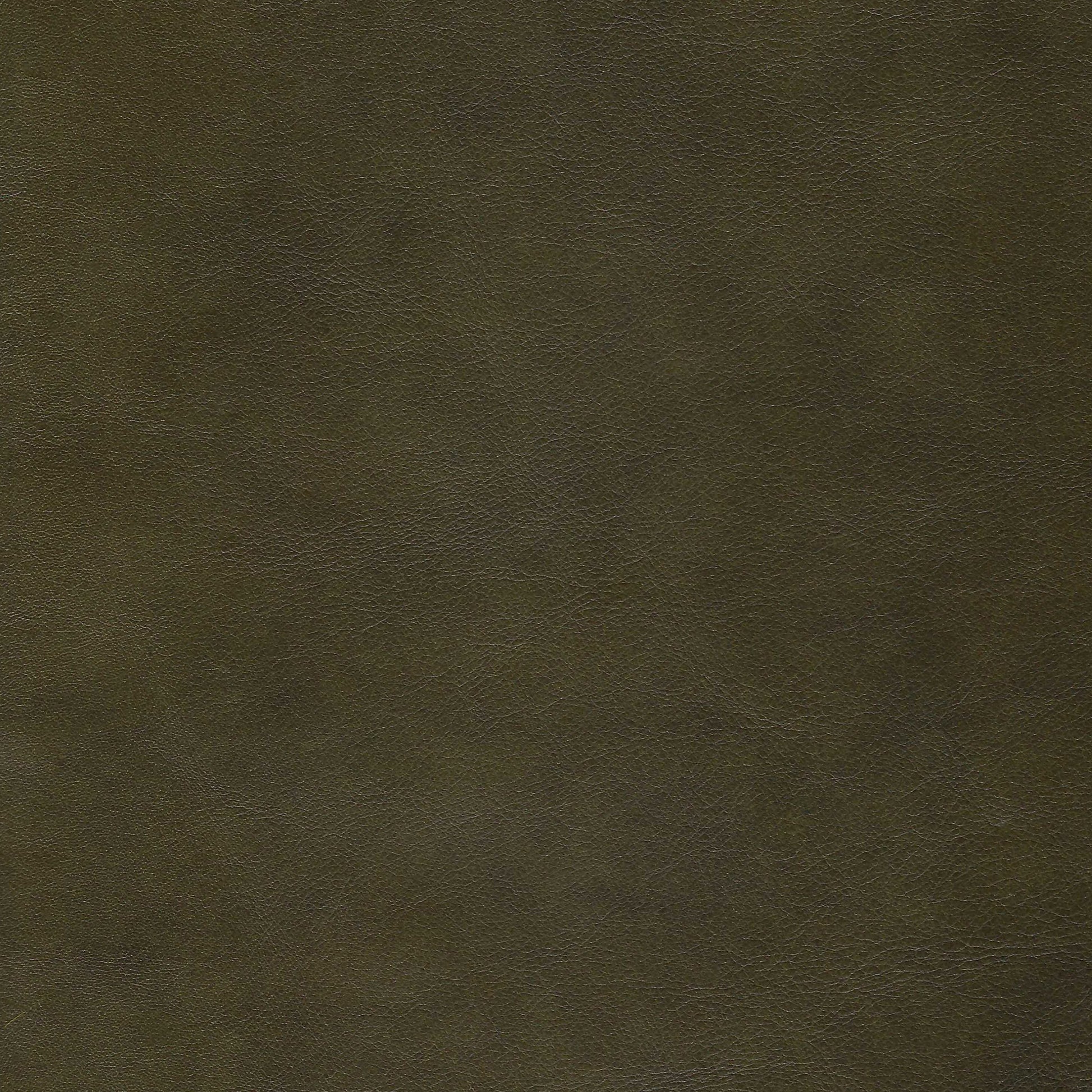 Solid dark green leather color swatch