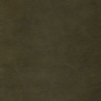 Solid dark green leather color swatch