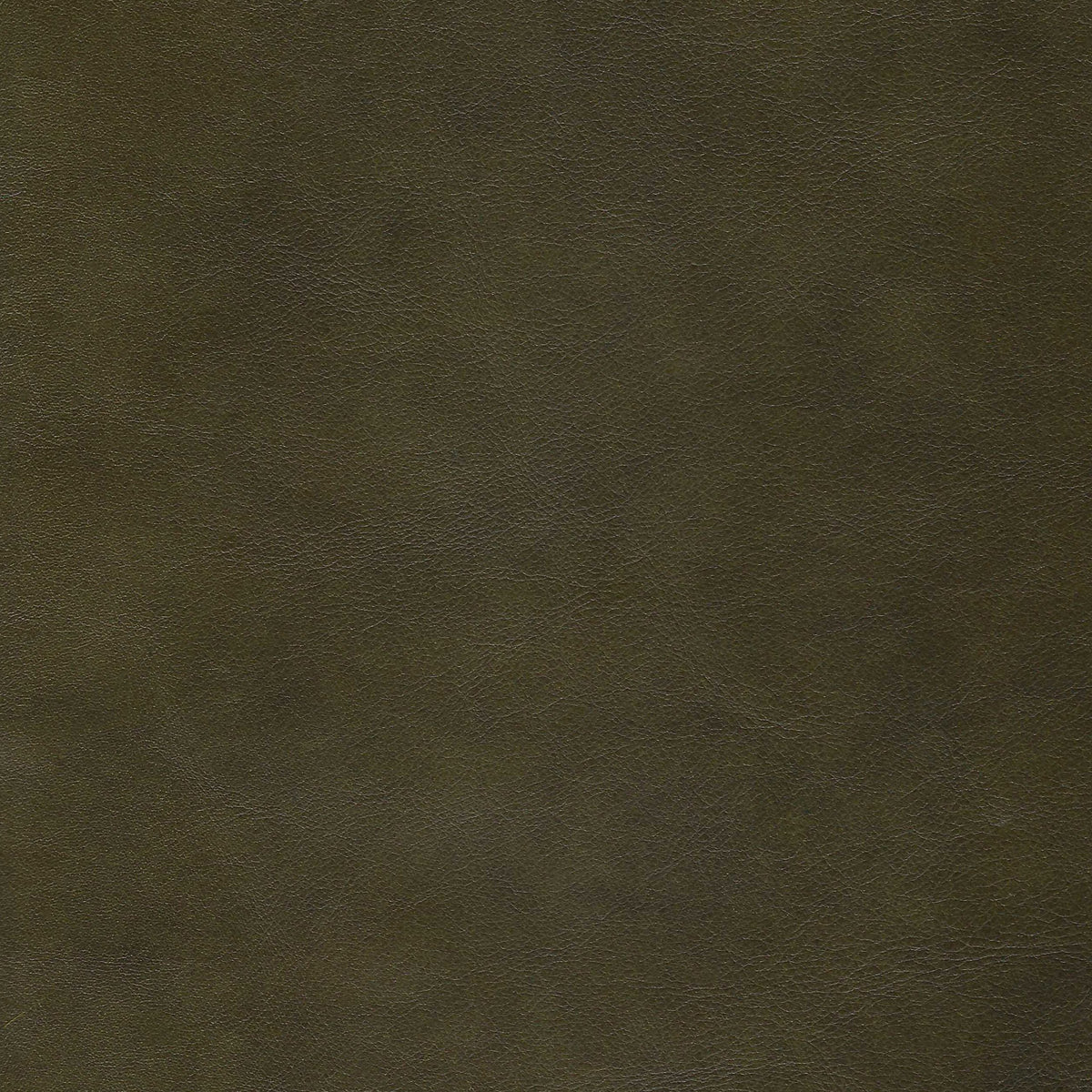 Solid dark green leather color swatch